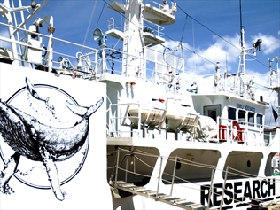 378260-us-supreme-court-rejects-sea-shepherd-bid