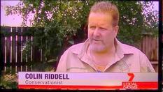 Bob_Irwin_Animal_Coalition_Launches_on_7_87232669_thumbnail