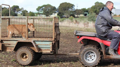 Screen Shot 2013-10-13 at 11.23.50 AM