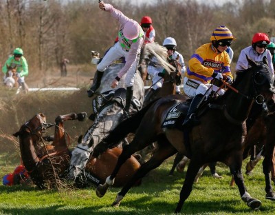horses fall and harm themselves in Grand National