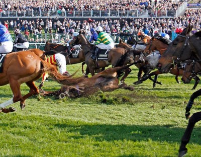 horses fall in Grand National