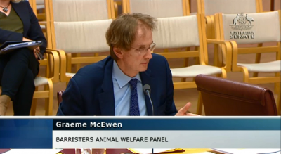 GRAEME SEPT HEARING222223